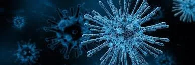 Un virus frecvent răspândit