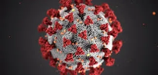 Vine iarna cu coronavirus?