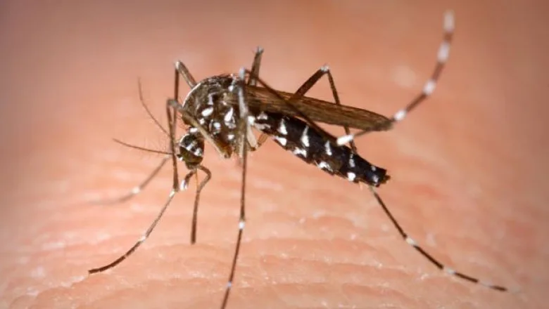 Al treilea pacient din județul Galați infectat cu virusul West Nile   