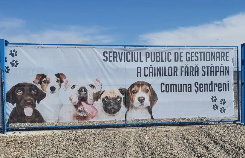 Campanie de sterilizare gratuită pentru câini și pisici, într-o comună gălățeană
