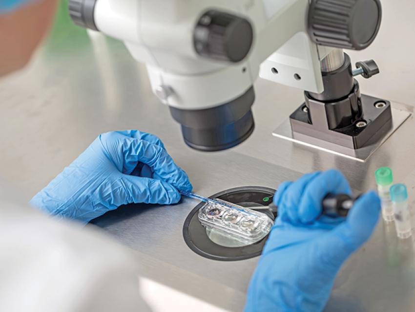 100 milioane de lei pentru programul de fertilizare in vitro