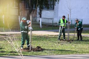 Plantări de primăvară &icirc;n Galați