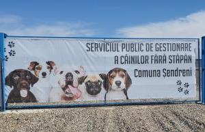 Campanie de sterilizare gratuită pentru c&acirc;ini și pisici, &icirc;ntr-o comună gălățeană